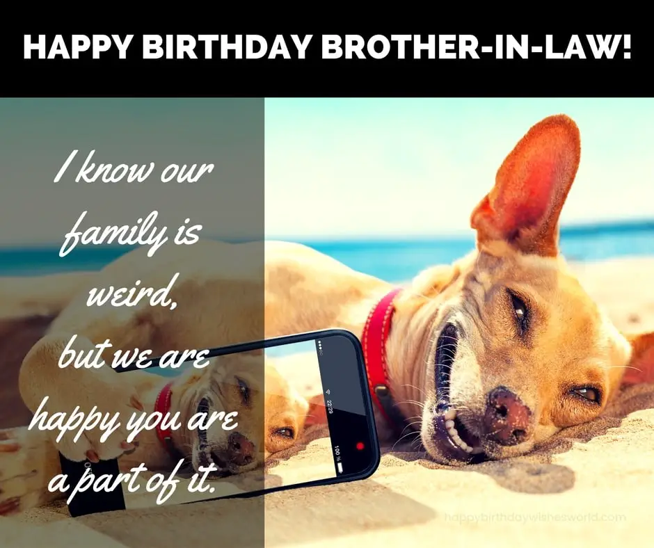 100 Happy Birthday BrotherinLaw Wishes Find the perfect birthday wish