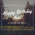 Happy birthday aunt you're the best