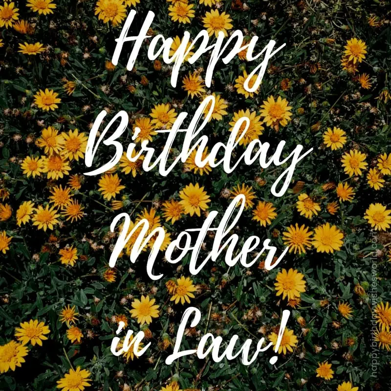 1 Happy Birthday Mother In Law Wishes Find The Perfect Birthday Wish